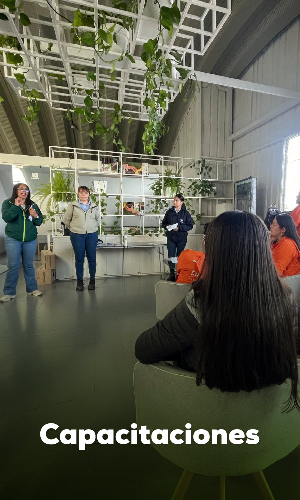 Galería Capacitaciones