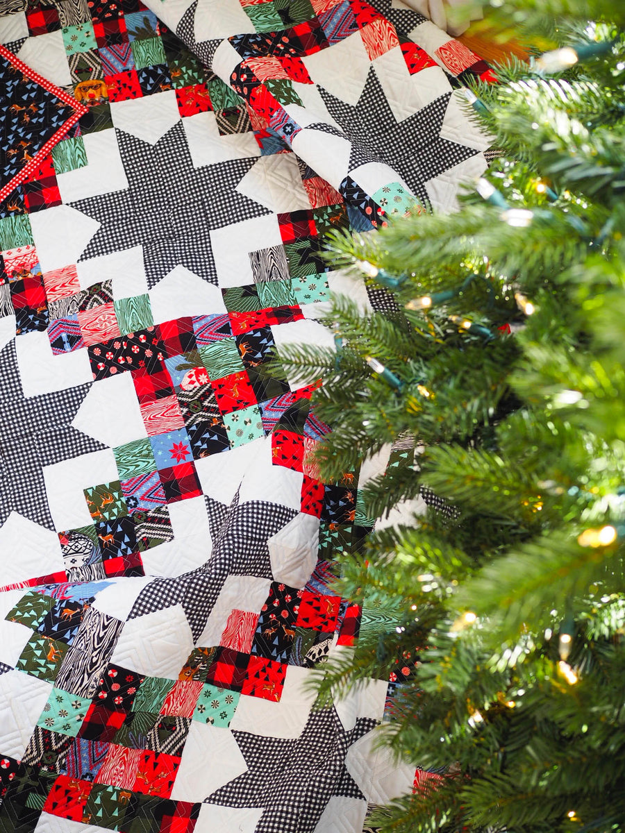 My Christmas Quilt - Tula Pink Holiday Homies – Then Came June