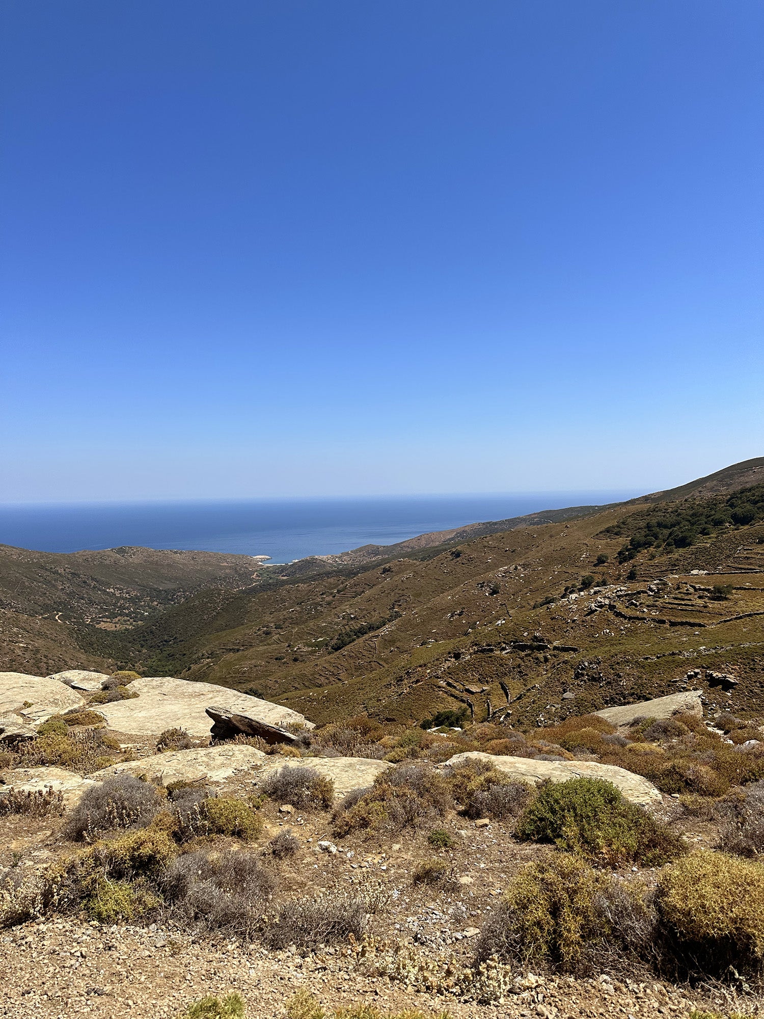 ANDROS-4.jpg__PID:036af0a9-87fc-4e98-ab07-1499684a2c64