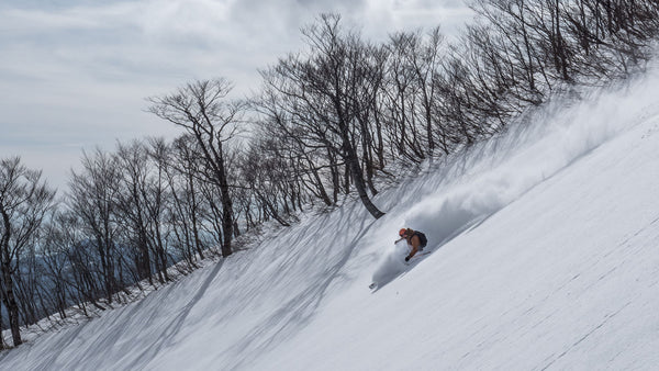 Gnarly Owl skialpy Japonsko skialpinismus