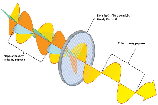 efekt-polarizacniho-filtru-v-zornikach-Gnarly-Owl