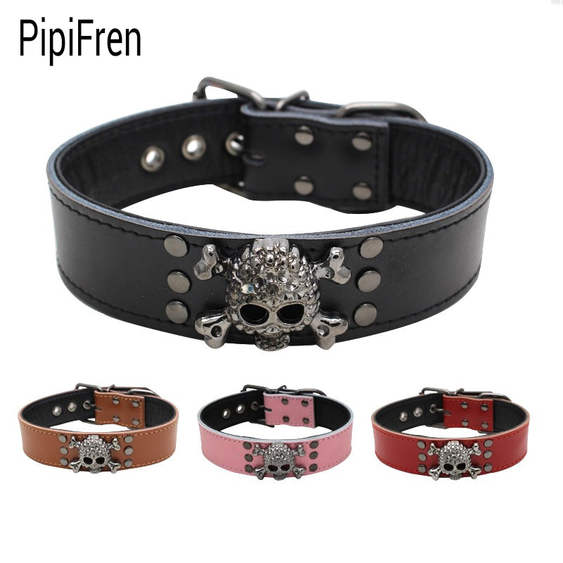 dog collars and accessories