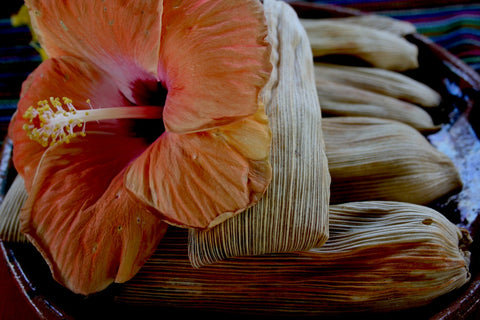 CONOCE LOS PÚLACLES, LOS TAMALES 100% TOTONACAS