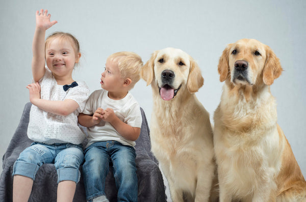 Perro para Trastornos del Espectro Autista: 