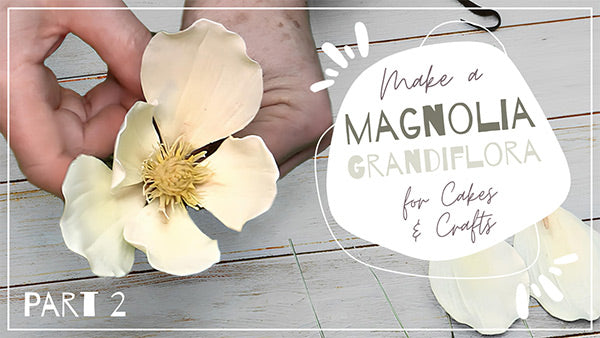 Magnolia-Part-2-Thumbnail-WEBSITE.jpg__PID:05b9b65f-31c0-4880-aaa6-77676116e960