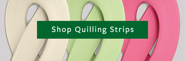 Shop standard quilling strips