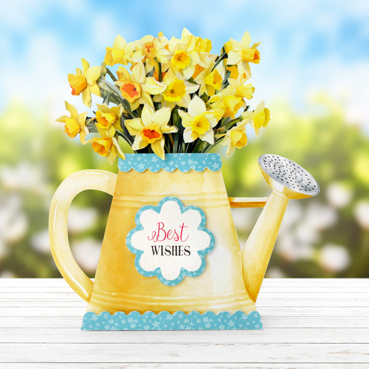 Daffodil Watering Can 1
