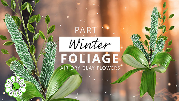 Winter-Foliage-Thumbnail-Part-1-WEB.jpg__PID:eb6cff95-2a54-401e-8a60-094317df1b5e