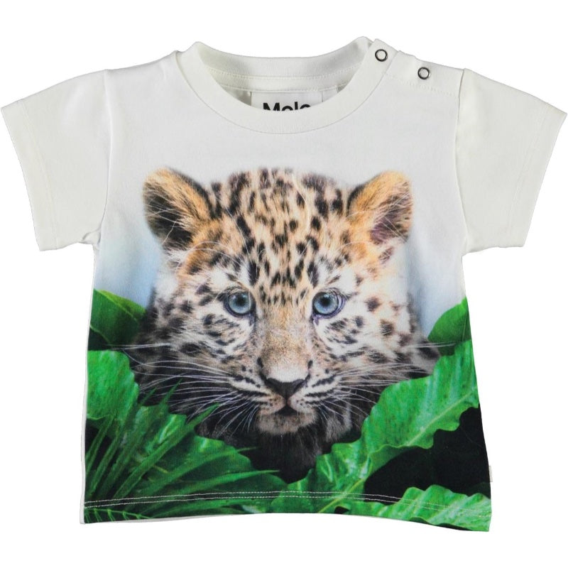 Se Molo - Emilio T-Shirt - Jungle Cub - 74 hos Lillepip.dk