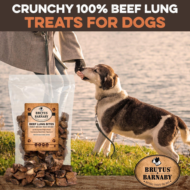 are beef lung treats safe for dogs