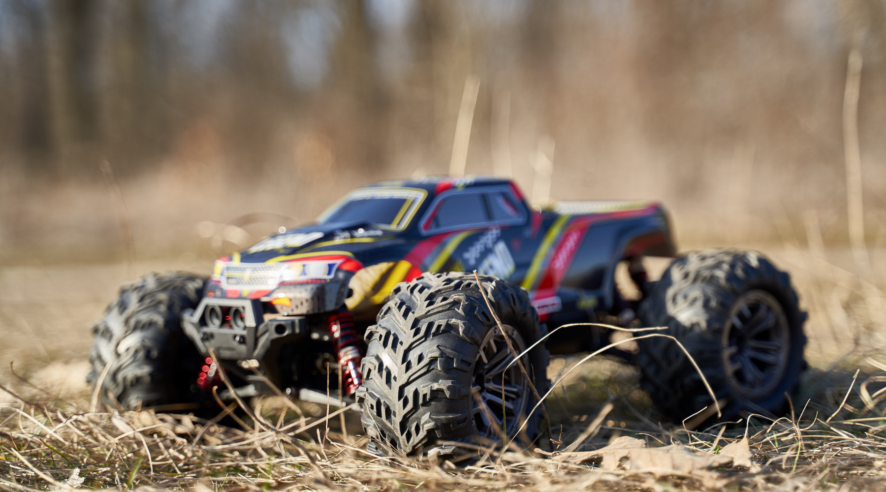 remote control cars for grown ups