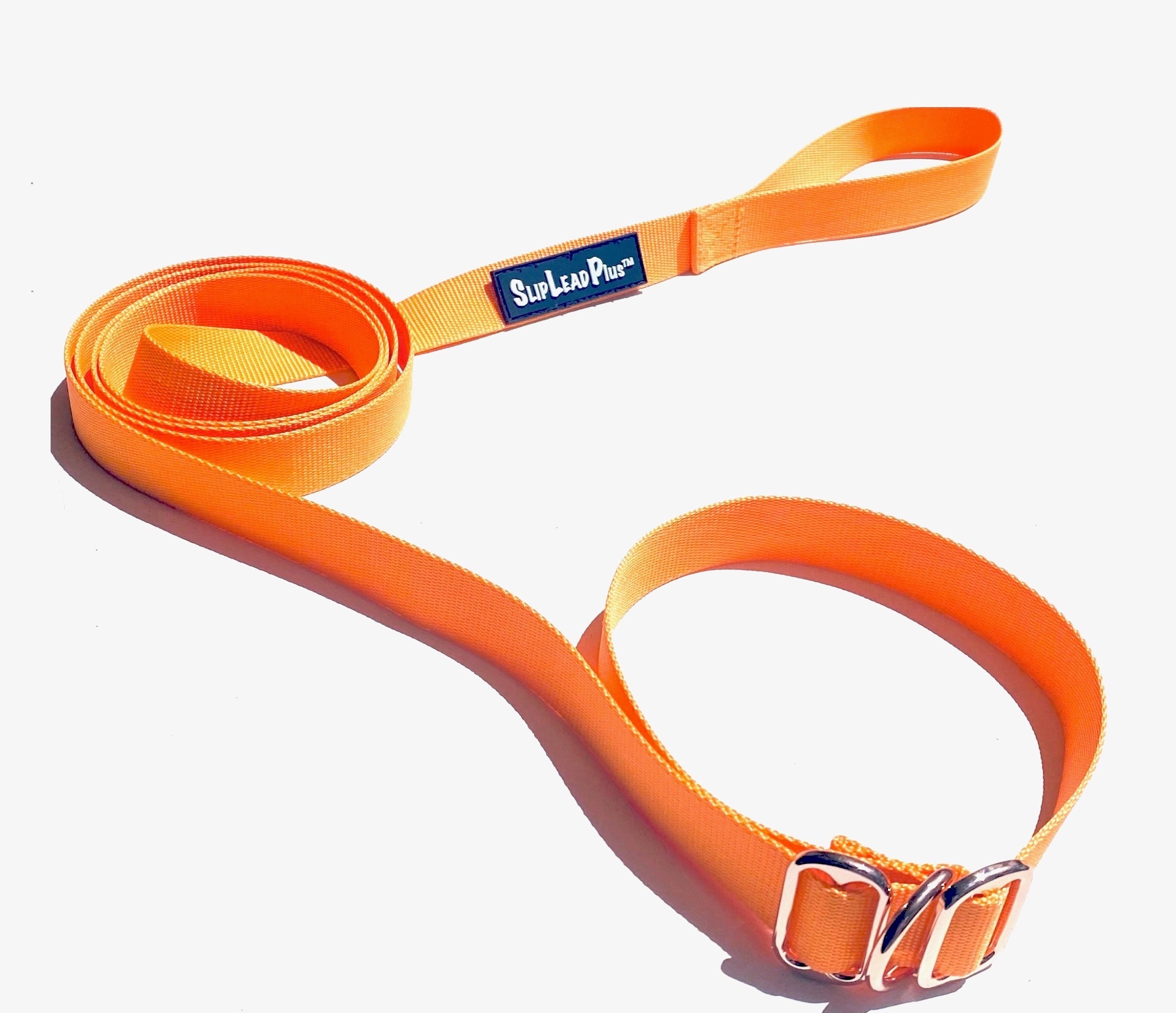 Collars and Leashes | Penny Pet Products 