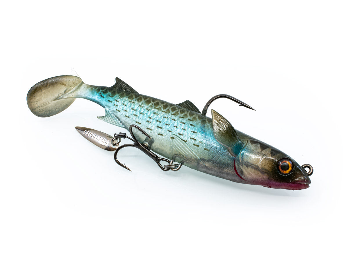 chasebaits.com.au/cdn/shop/articles/Hailmary_Budgi