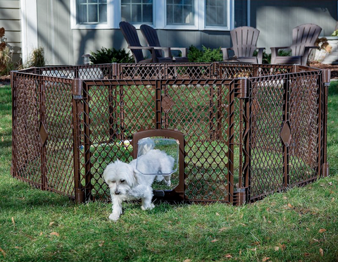 Dog Fence 2