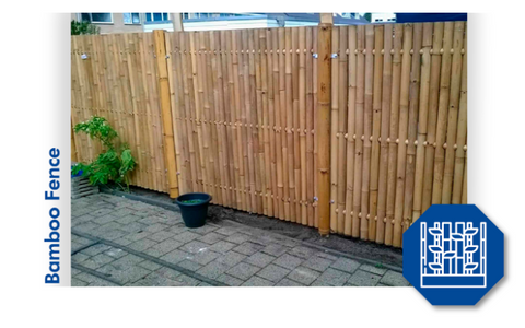 Bamboo Fence