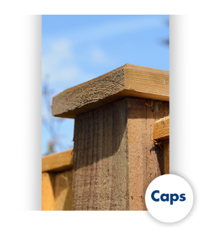 Caps of a fence