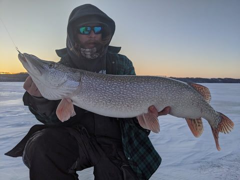 Sound Advice For Pike Through The Ice – Eurotackle
