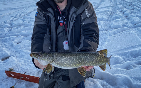 Sound Advice For Pike Through The Ice – Eurotackle