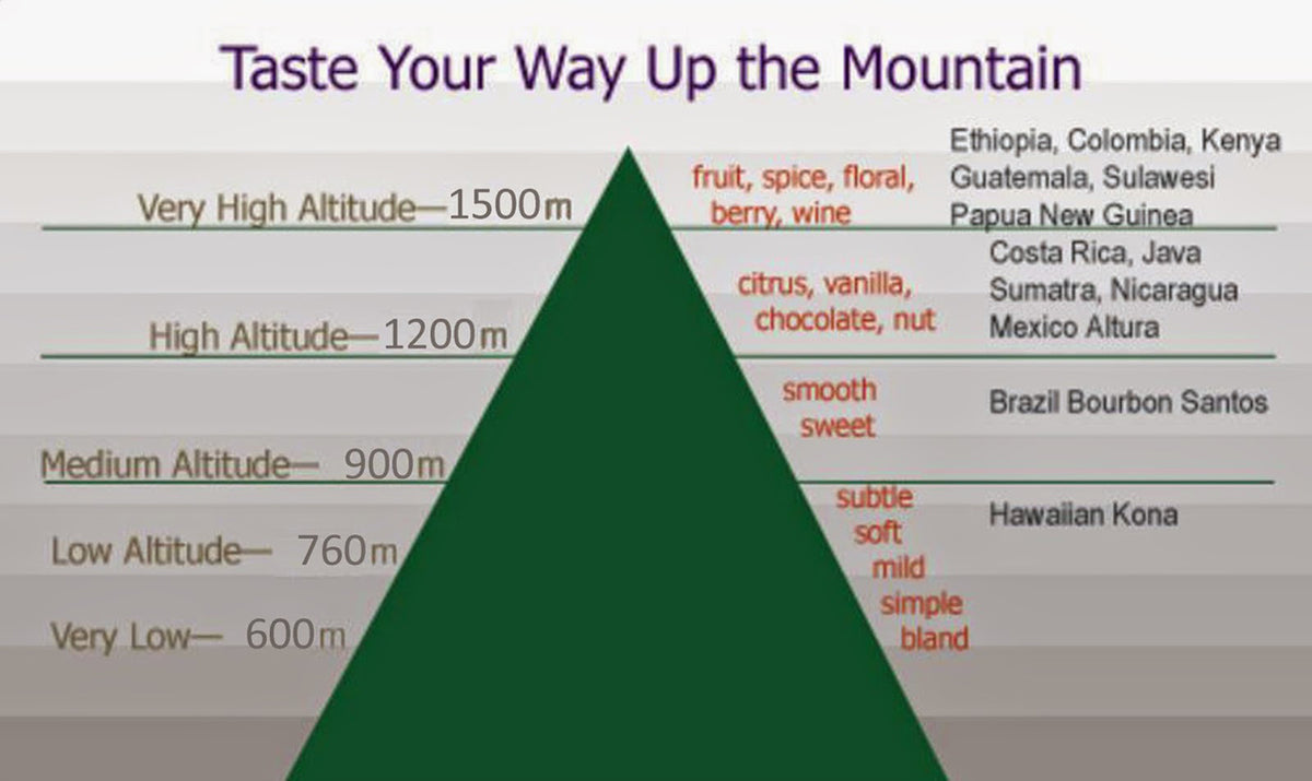 The Effect of Altitude on Coffee Flavor Scribblers