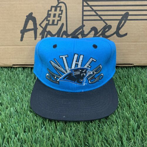 panthers hat apparel