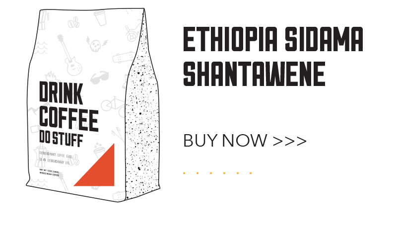 Ethiopia Sidama Shantawene