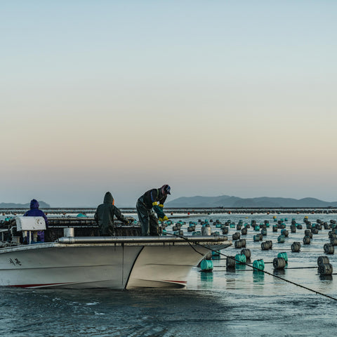 Farming seaweed image