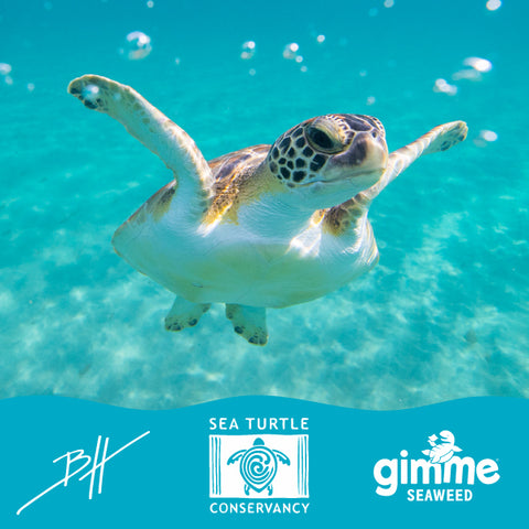 Gimme Seaweed partnership with Sea Turtle Conservancy