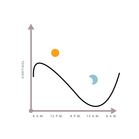 cortisol levels and stress response during the day