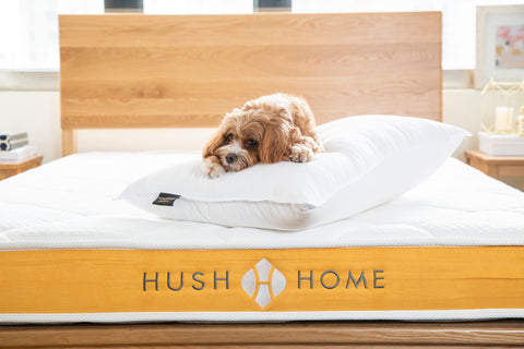 hush home pillows