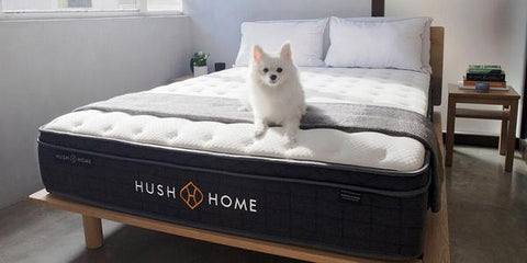 buy king mattress near me