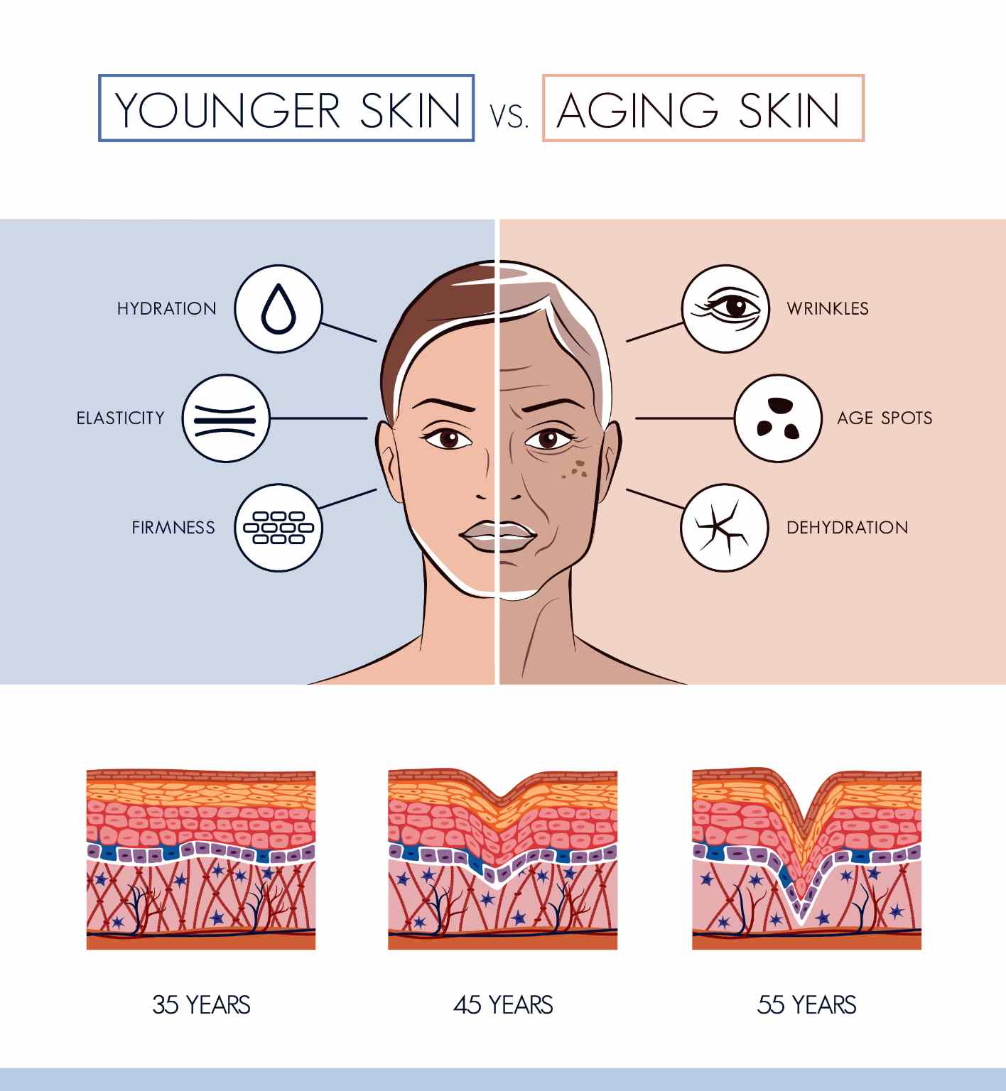 Skin aging and pigment spots