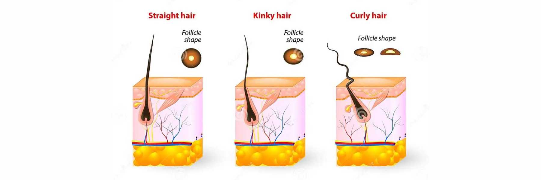 Haarvormen | 9 tips tegen pluizig haar | INDISHA