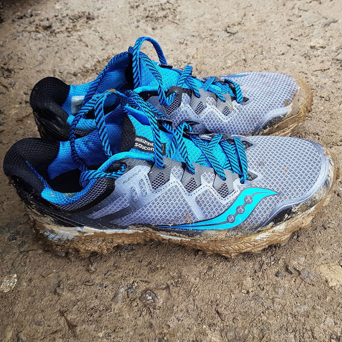 saucony peregrine 8 for hiking