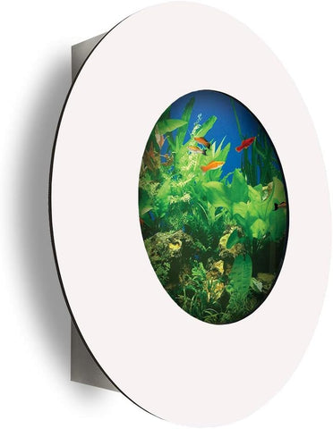Porthole Wall Aquarium -Matte White