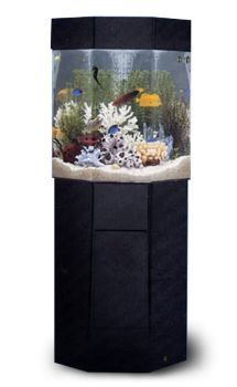  P-5 Pentaview Pentagon AquaCustom Aquarium 