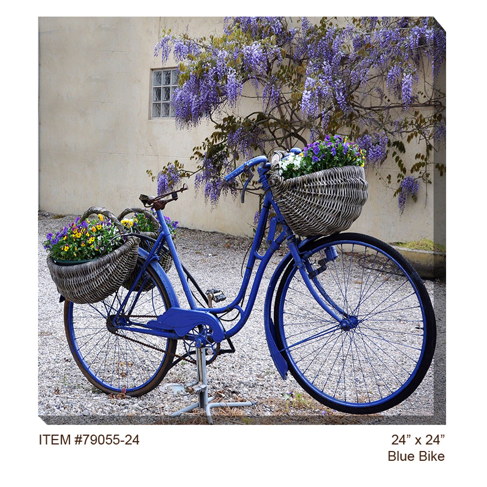  Blue Bike Outdoor Canvas Art 