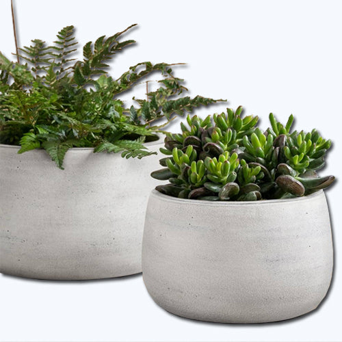  Anders Bowl | Cold Painted Terra Cotta Planter 