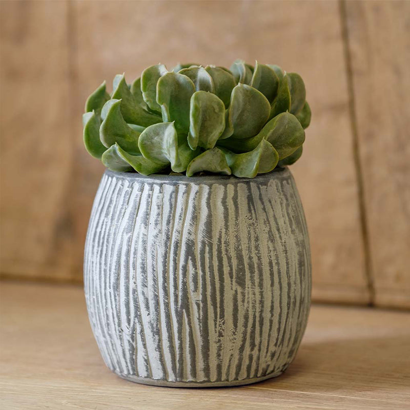  Coconut Set of 6 | Cold Painted Terra Cotta Planter 