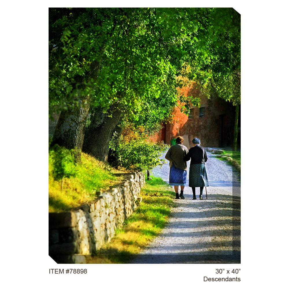  Descendants Outdoor Canvas Art 