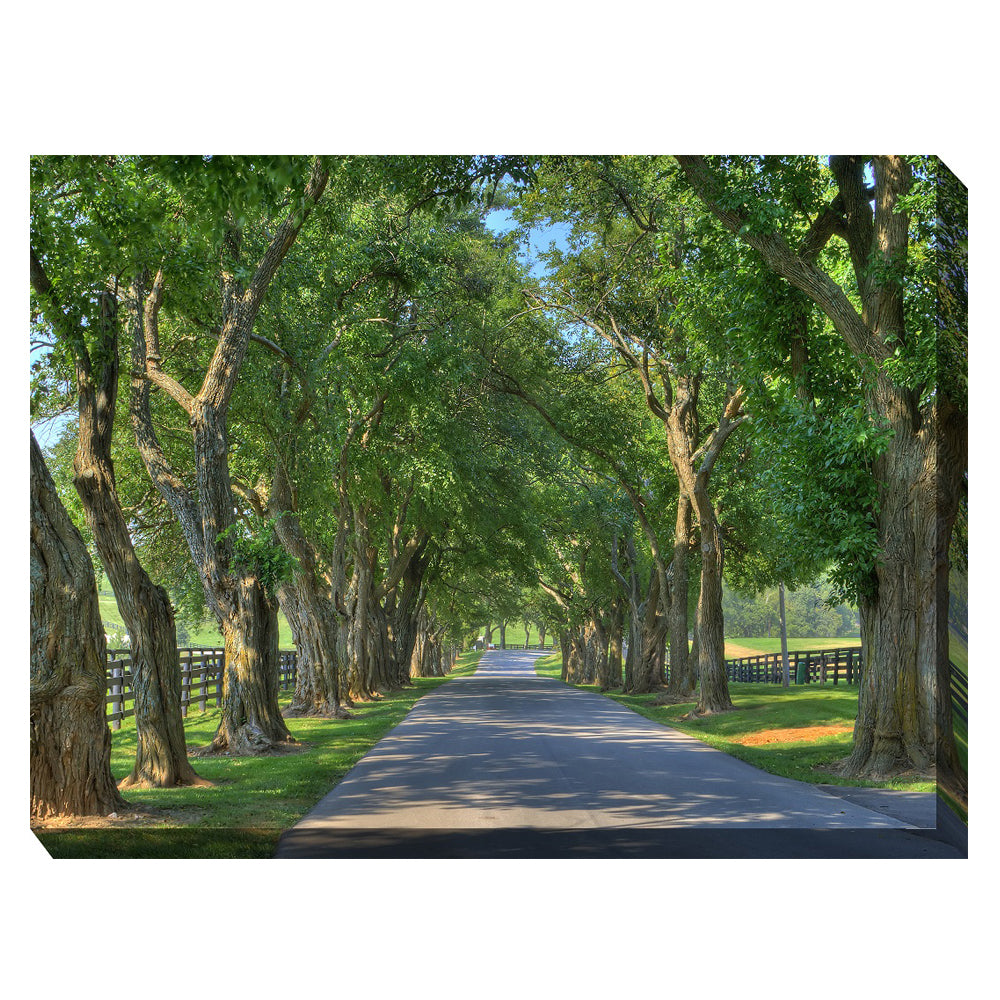  Country Lane Outdoor Canvas Art 