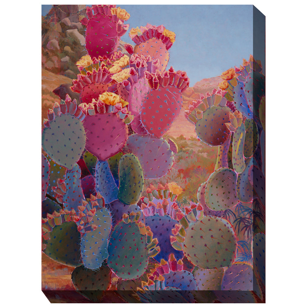 Painted Desert Outdoor Canvas Art