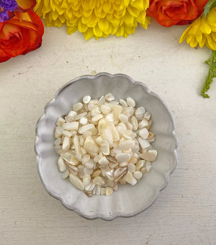 Bowl of Mother of Pearl Chips