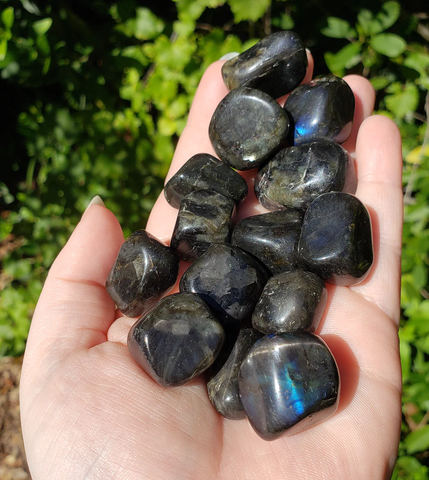 Image of a hand holding tumbled larvikite gemstones showing off the "schiller" effect.
