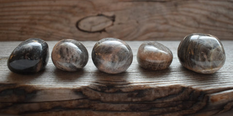 Black moonstone gemstones on log