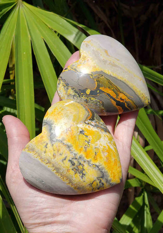 Bumblebee Jasper Hearts in Hand