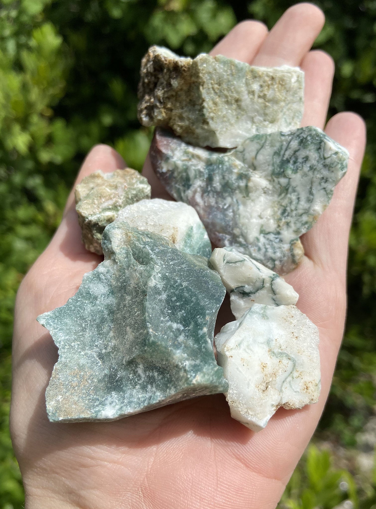 Tree Agate Natural Raw Rough Gemstone