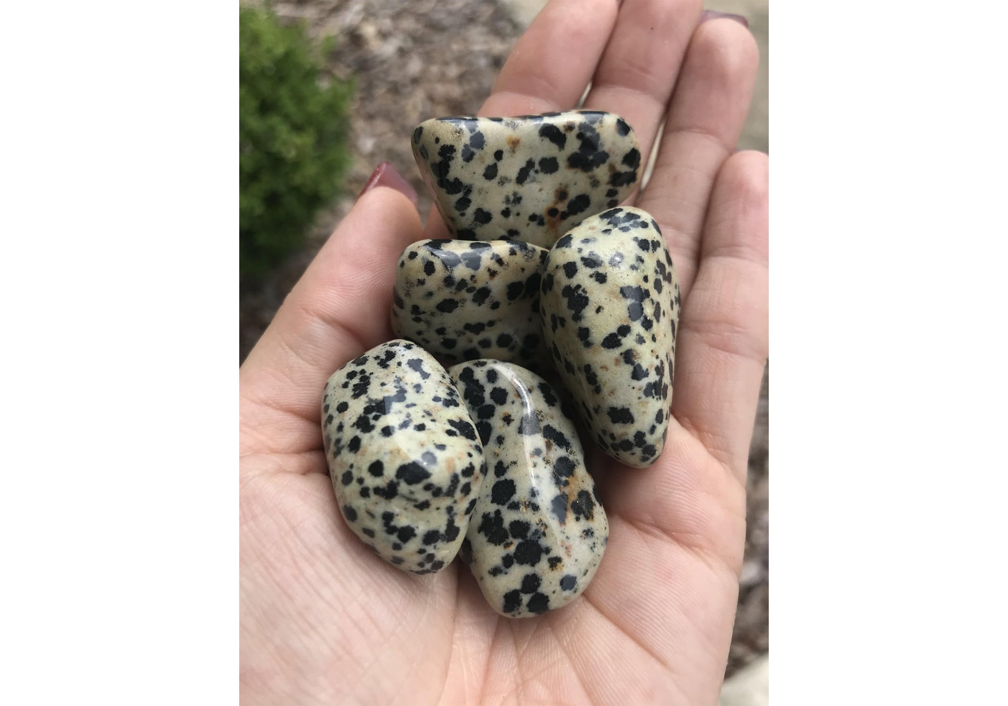 dalmation jasper quartz