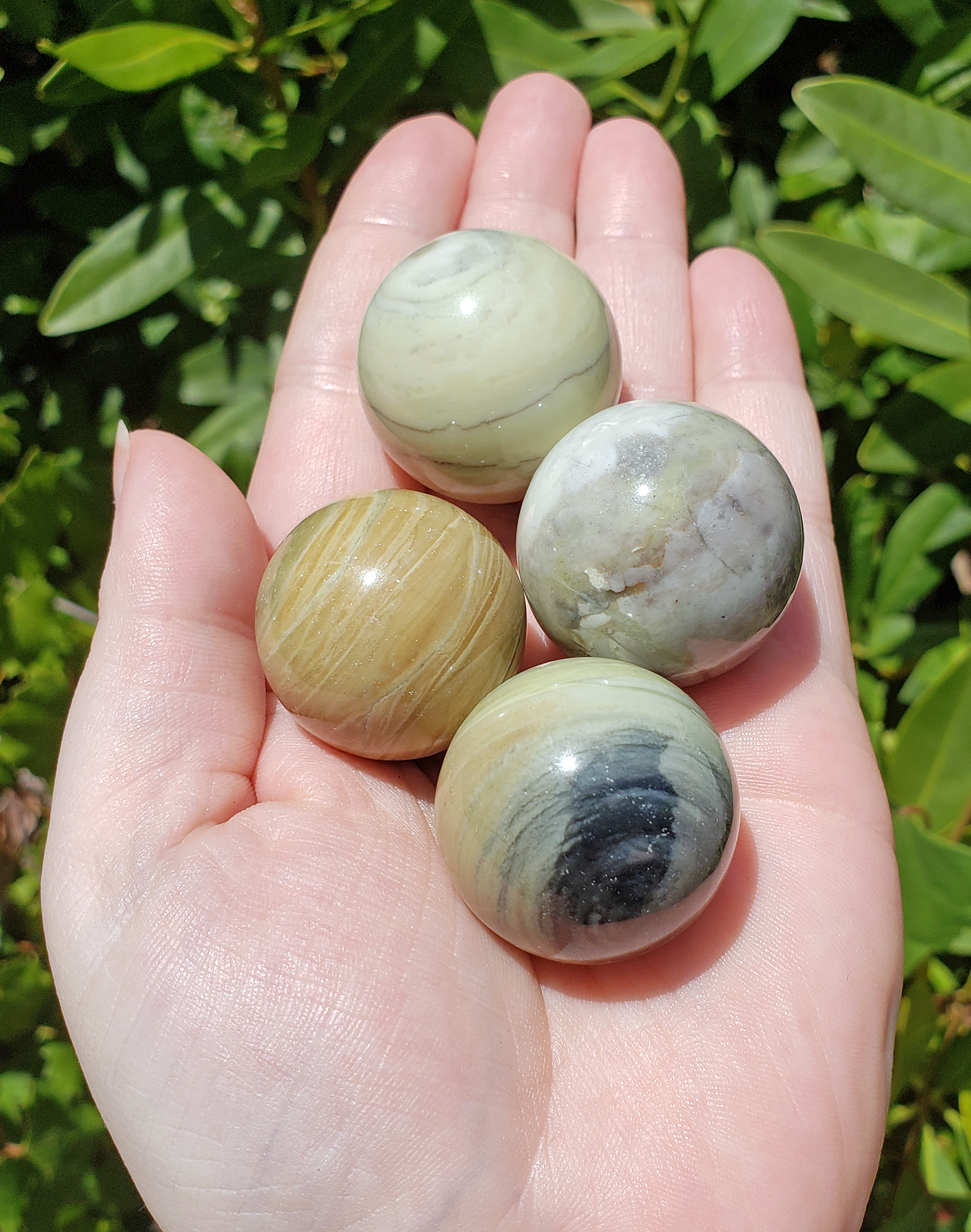 Silver Leaf Jasper