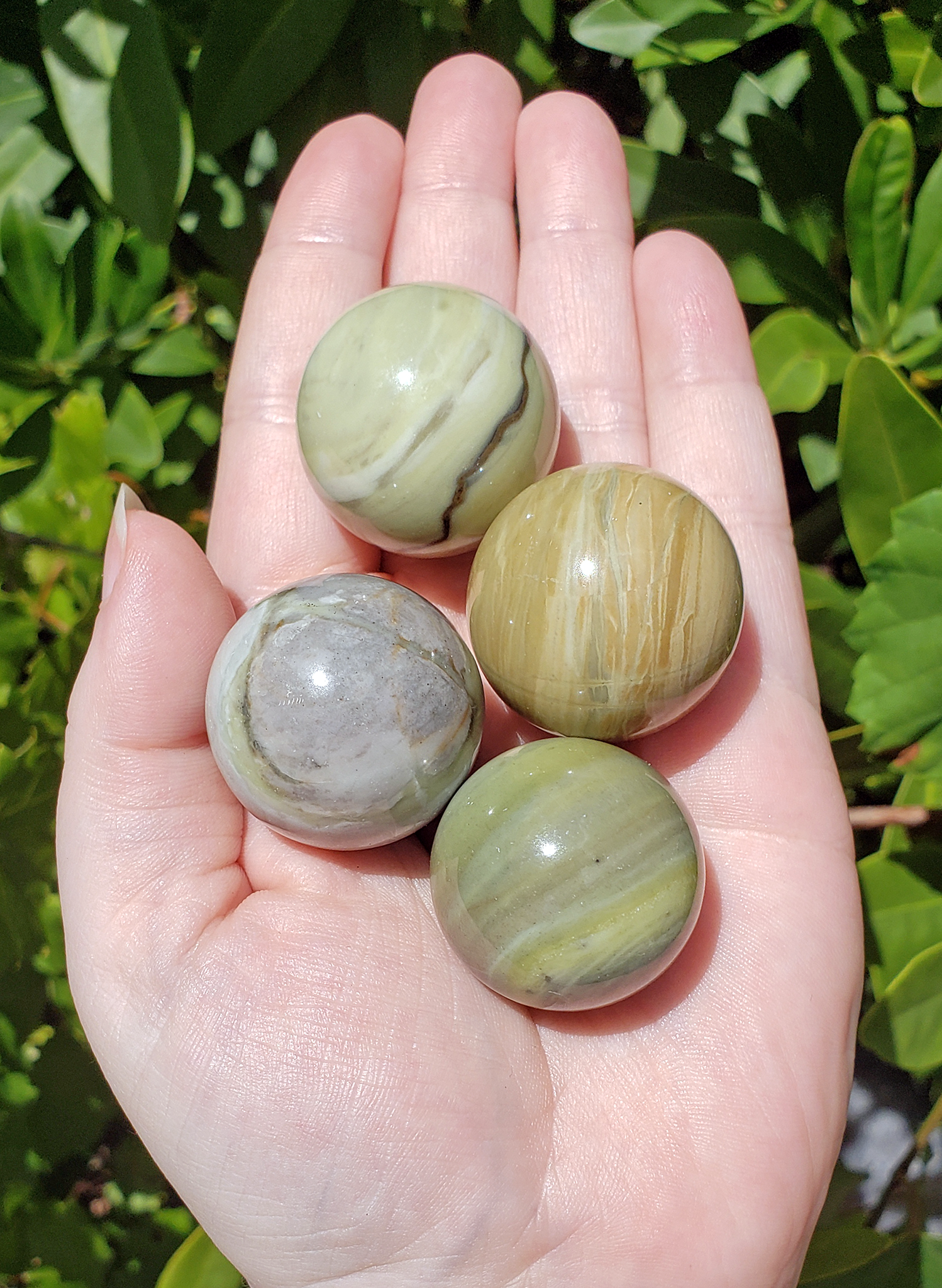 Silver Leaf Jasper