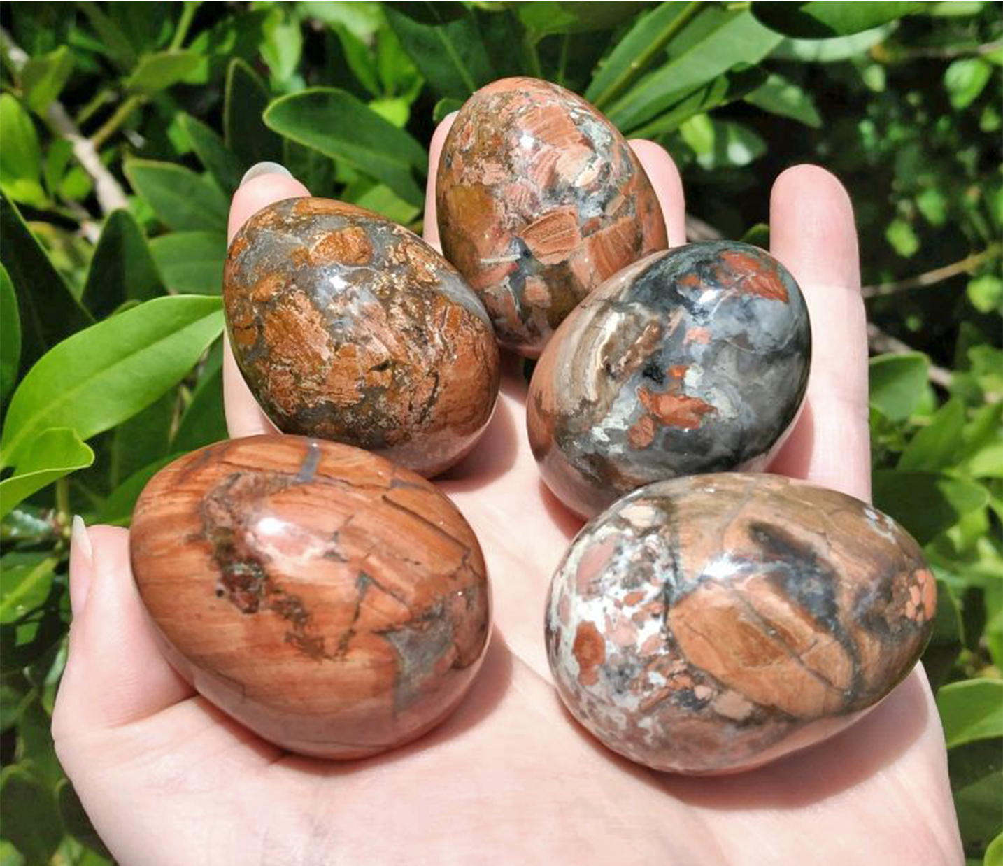 Silver Leaf Jasper